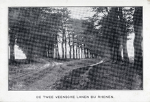 12208 Gezicht op de splitsing van de Nieuwe Veenendaalseweg (links) en de Oude Veenendaalseweg te Rhenen, uit het noorden.